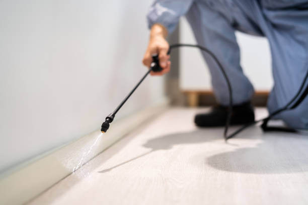 Licensed Mosquito Control service in Zeeland, MI - Show Me Pest Control