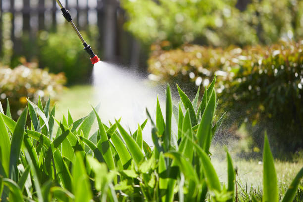 24/7 Emergency Mosquito Control experts in Zeeland, MI