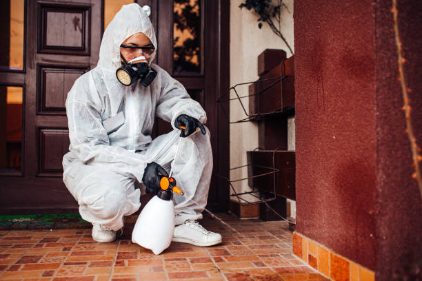 Reliable Mosquito Control contractor in Zeeland, MI by Show Me Pest Control